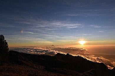 欧洲12月销量榜：《阿凡达：潘多拉边境》首发第六